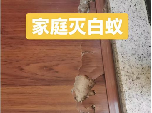宜宾白蚁防治中心电话宜宾附近专业上门灭白蚁消杀治理(图2)