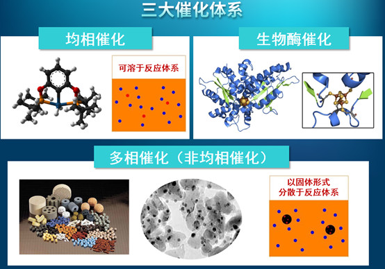 上海科研团队攻克角鲨烯生物合成难题(图1)