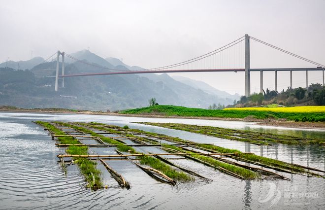 《经济日报》报道江津：山水人城和谐相融新画卷(图3)