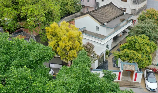 老屋变庭院、厂房成公寓深圳坪山城中村微改造让握手楼换了模样
