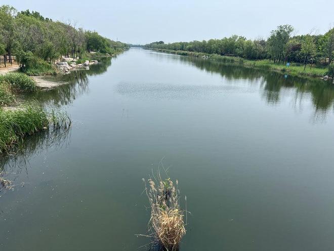 与化工厂为邻：高密友道工厂爆炸后的“多维冲击”(图9)