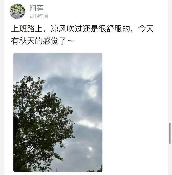 刚凉快一天又要来了！杭州人“短袖都洗出洞了”(图2)