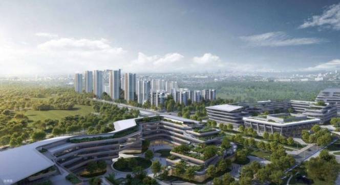 伟星万科星遇光年户型图_房型图_户大全-合肥搜狐焦点(图5)