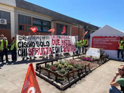 当华人移民成为“剥削者”(图2)