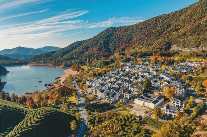 金华这个村出名了！(图3)