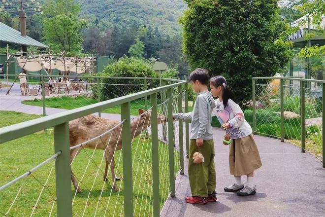 金华这个村出名了！(图4)