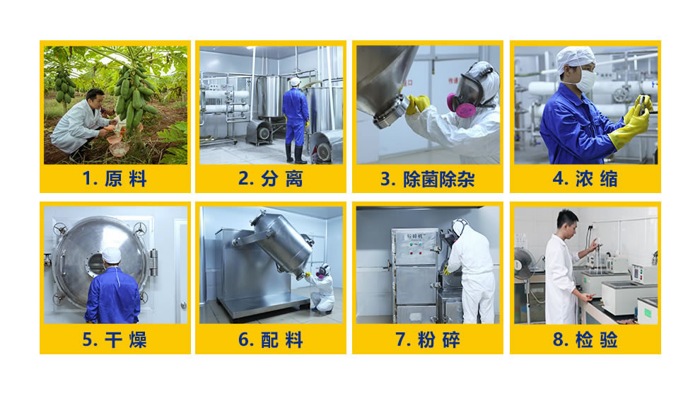 2026消毒液产品入市：从“功能满足”到“情感共鸣”的跃迁