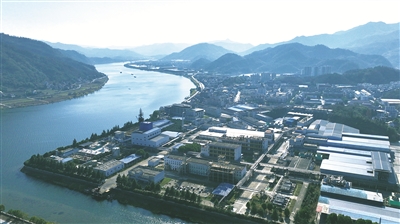 大洋生物：穿越产业周期缔造长青“传奇”(图2)