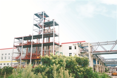 大洋生物：穿越产业周期缔造长青“传奇”(图7)