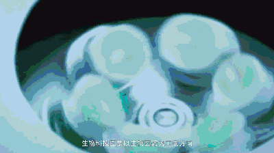 相城高新区的大动作：春申国际科创园正式开园现场竟还有女同胞们心仪的“粉科技”！(图14)